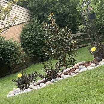 Advanced Property Solutions - French garden with assorted rocks - Tree Services Near Me Advanced Property Solutions - French garden with assorted rocks - Tree Services Near Me