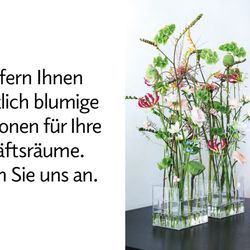 Primula - Firmenkundenservice