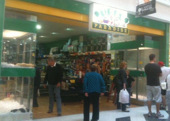 o Jupiter Florida Real Estate For Sale