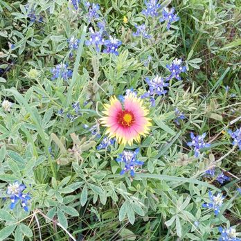 Terry Hershey Park - There's beautiful trails out here! - Parks Near Me - Houston, Texas