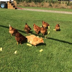 Isham Family Farm