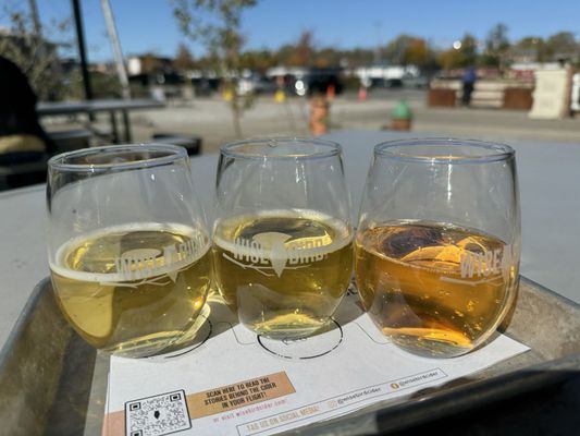 Wise Bird Cider Co. by null