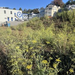 Glen Park Greenway