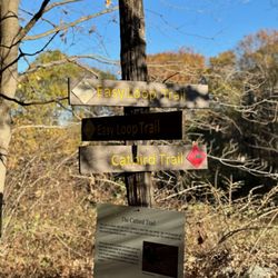 Westmoreland Sanctuary