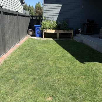 LunaBella Landscape Services - From grass - Landscaping Near Me - Los Angeles, California LunaBella Landscape Services - From grass - Landscaping Near Me - Los Angeles, California