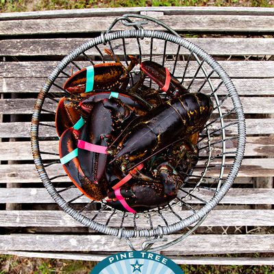 Pine Tree Seafood & Produce Co. by null