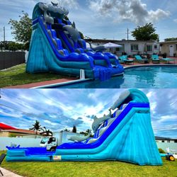 Jumpers Paradise