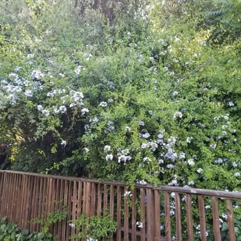 Los Gatos Creek Trail - Parks Near Me - Campbell, California
