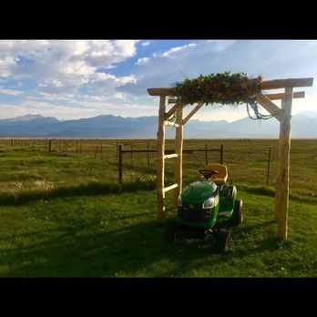 A Wildflower - Florists Near Me - Gardnerville, Nevada