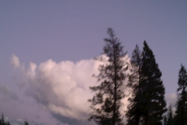 Tamarack Flat Campground by null