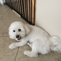 Kumo