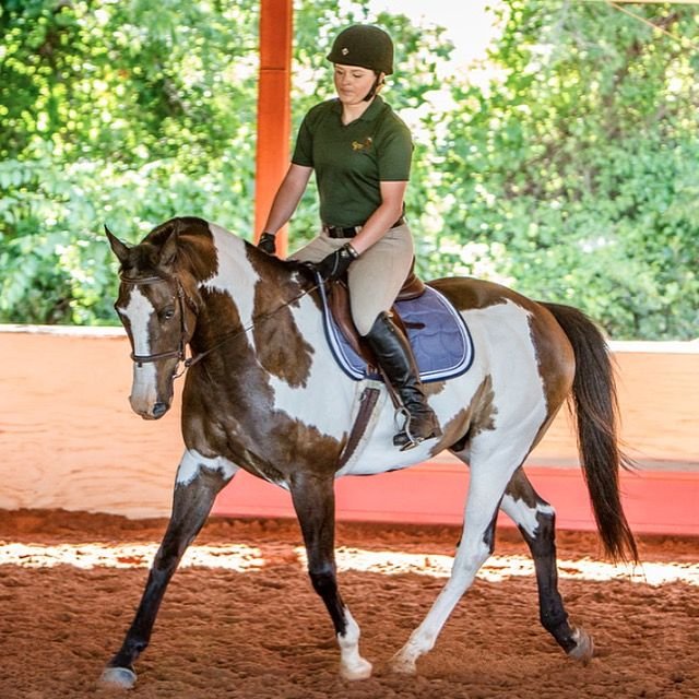 Gallery Farm - equestrian in Noble, OK