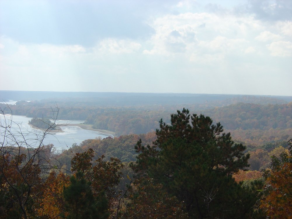 NATHAN BEDFORD FORREST STATE PARK Updated September 2024 40 Photos