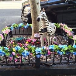 Little Eric Shoes On Madison Giftly Email, Text or Print, 1118