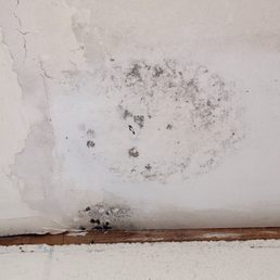 One moldy spot on a bathroom ceiling.