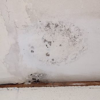 Cascade Peaks - One moldy spot on a bathroom ceiling. - Campgrounds Near Me - Randle, Washington