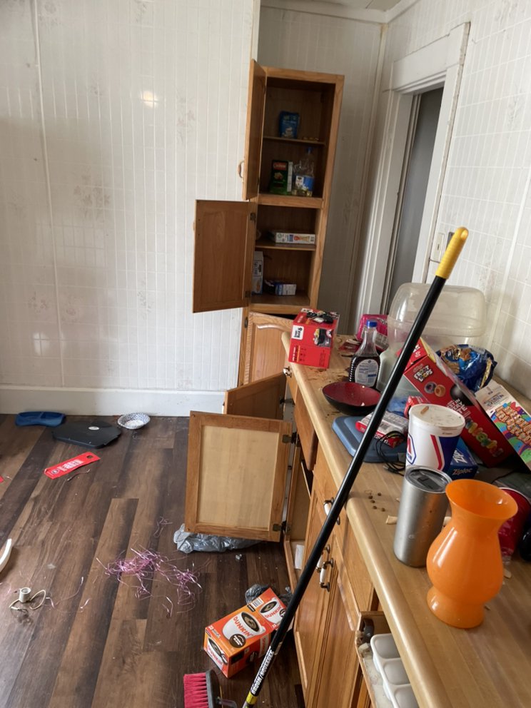 GOT PROS Updated September 2024 37 Photos & 10 Reviews Westfield