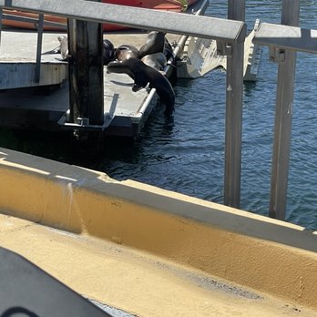 King Harbor Marina - Marinas Near Me - Redondo Beach, California King Harbor Marina - Marinas Near Me - Redondo Beach, California