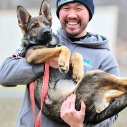 Off Leash K9 Training Maryland