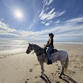 Monterey Bay Equestrian Center - Horseback Riding Near Me - Castroville, California Monterey Bay Equestrian Center - Horseback Riding Near Me - Castroville, California