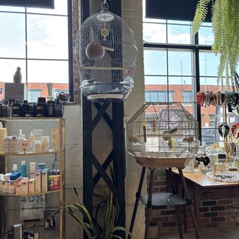 Gold Lion Coffee House - Decor - Coffee & Tea Near Me - Buffalo, New York