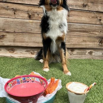 Ruff Resort & Spa - Pet Training Near Me - Benbrook, Texas Ruff Resort & Spa - Pet Training Near Me - Benbrook, Texas