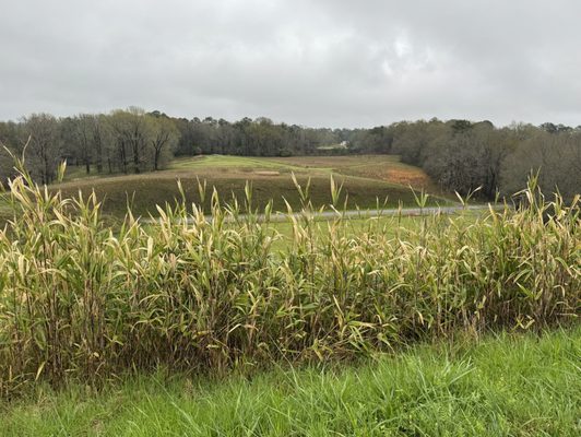 Ocmulgee Mounds National Historical Park by null