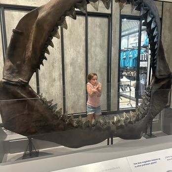 Field Museum - Museums Near Me - Chicago, Illinois