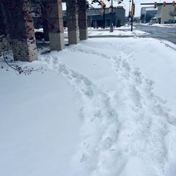 Jimmy John's - Need to clean sidewalks