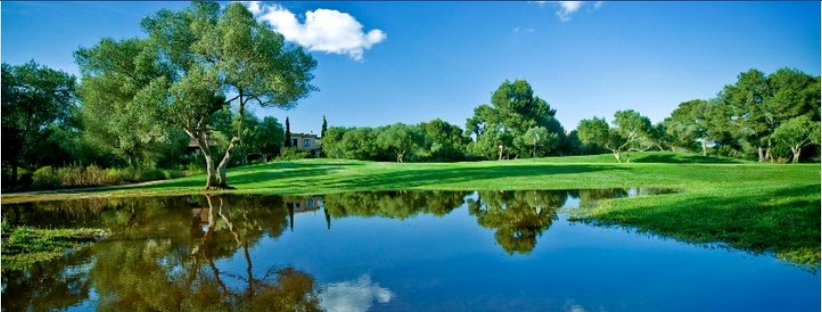 Alpha EMC - safety consultant in Winter Springs, FL