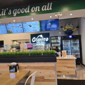 Cilantro Taco Grill - Tacos Near Me - Arlington Heights, Illinois