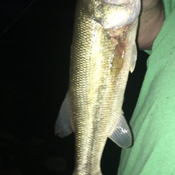 Monee Reservoir Visitor Center - Largemouth Bass- he's back in the lake... - Visitor Centers Near Me - Monee, Illinois