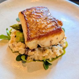 Halibut