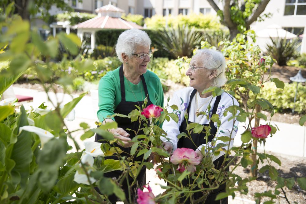 CARLTON SENIOR LIVING SAN LEANDRO 34 Photos & 28 Reviews 1000 E