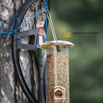 Adeeb Photography - Session Photography Near Me