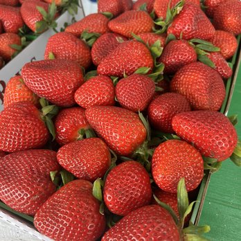 Reye's Farm - Fruits & Veggies Near Me - Manteca, California