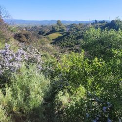 Wildwood Canyon Open Space