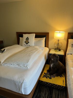 Watertown Hotel - A Staypineapple Hotel by null