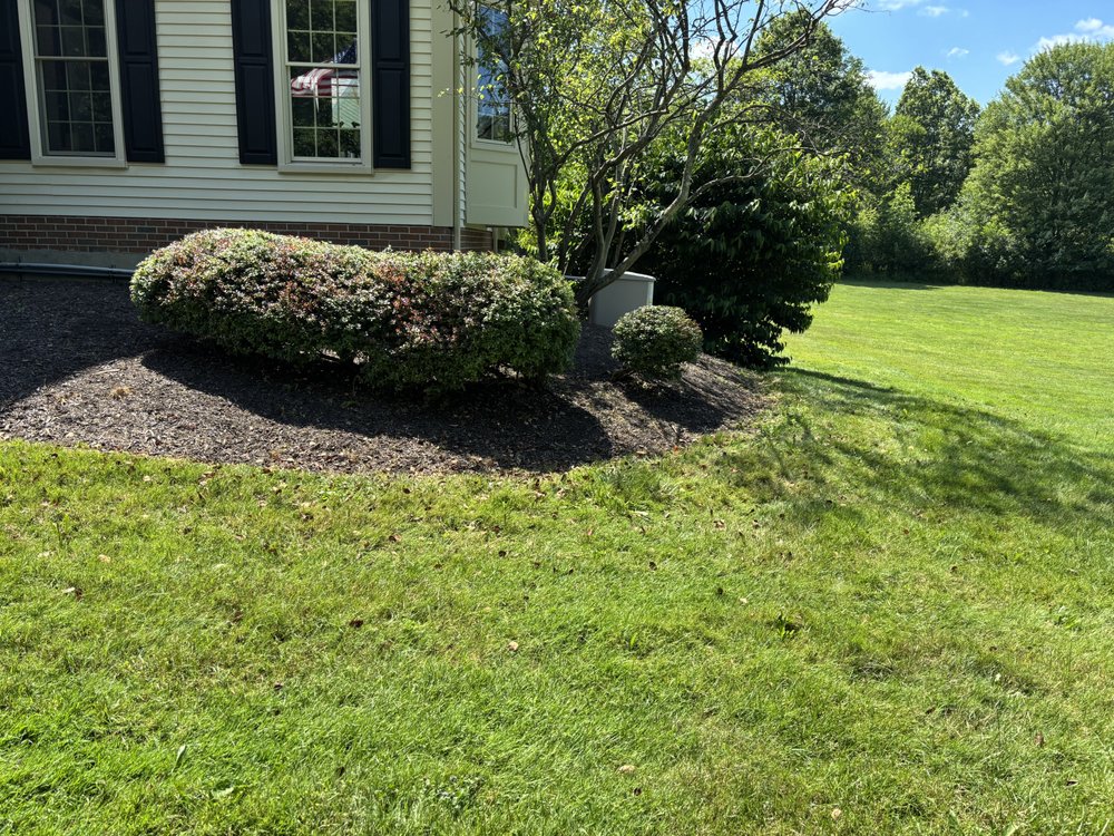 Slide of Pride And Perfection Services