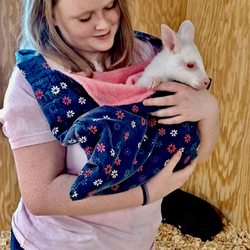 Canton Grand Safari Adventure  - Avalanche, the baby albino wallaby