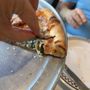 Photo of Bella Amici Pizzeria & Restaurante