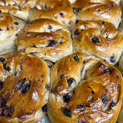 Hearth Artisan Bread - Blueberry bagels