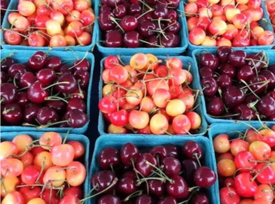 VAN KALKEREN FRUIT STAND Updated September 2024 16002 89 Street