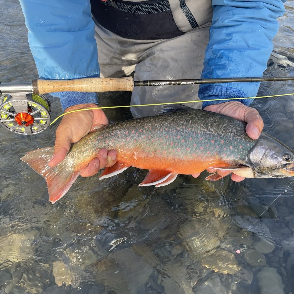 Nice char caught with Jason's Guide Service Nice char caught with Jason's Guide Service