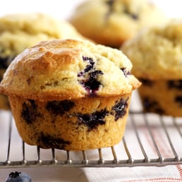 Blueberry Muffin