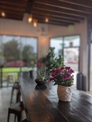 MOE COFFEE-NORTH PARK by null