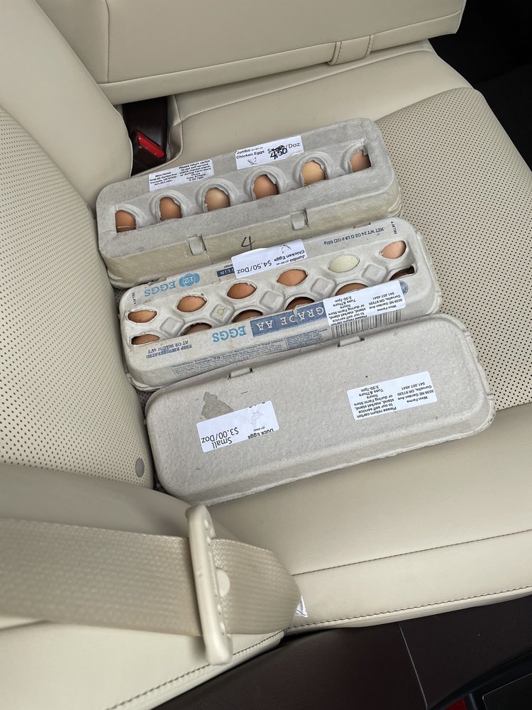 WINN FARMS Updated June 2024 3039 NE Garden Ave, Corvallis, Oregon