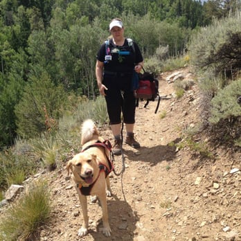 The Canine Center - Colorado camping with the Canine Center in 2014 - Pet Training Near Me - Austin, Texas