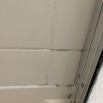 Spring Creek Apartments - Mold/mildew in shower - Apartments Near Me - Macungie, Pennsylvania Spring Creek Apartments - Mold/mildew in shower - Apartments Near Me - Macungie, Pennsylvania