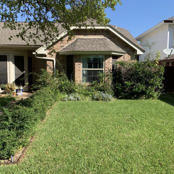 Grow Your Landscape - Before bush removal - Landscaping Near Me Grow Your Landscape - Before bush removal - Landscaping Near Me